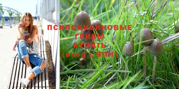амфетамин Белокуриха