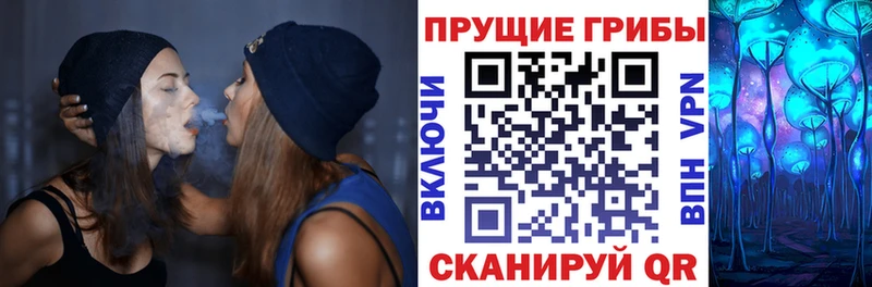 наркота  Гуково  Галлюциногенные грибы прущие грибы 