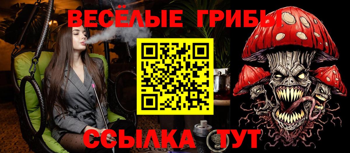 что такое наркотик  Гуково  Галлюциногенные грибы Magic Shrooms 