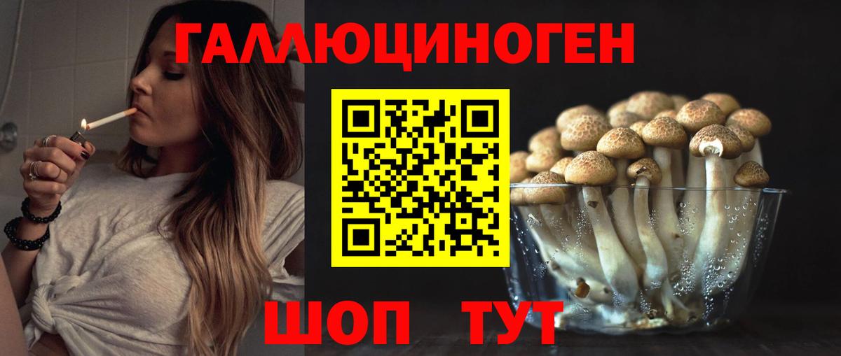 Гуково  Галлюциногенные грибы Psilocybine cubensis  Вход с VPN 